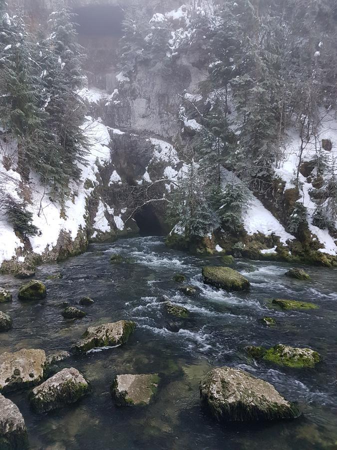 Le Chalet De La Source Mouthe Kültér fotó